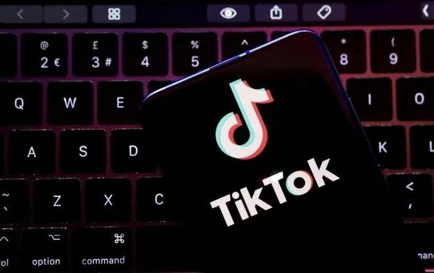 Tiktok Users Share Home Safety Technology, Protection Upgrades 