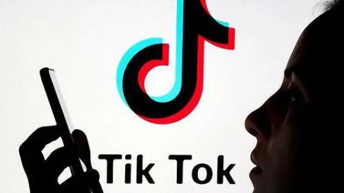 TikTok And The Joy Of Gardening 