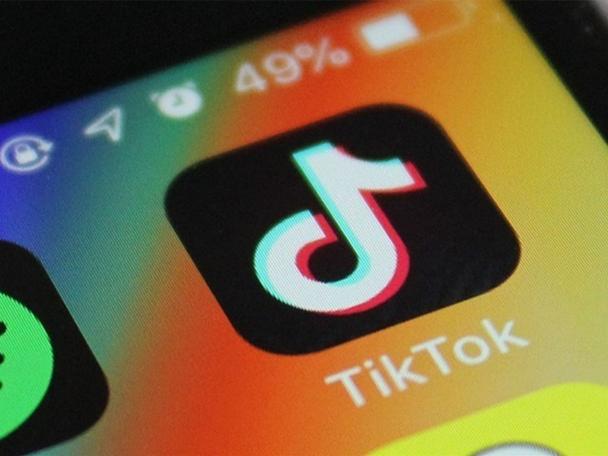 TikTok And The Joy Of Gardening